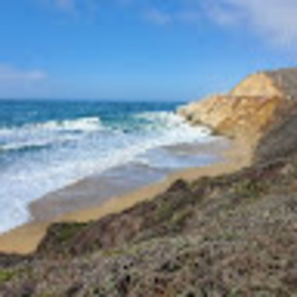 Meet your Posher, Amber - Picture 1 of 1